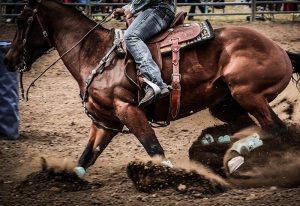 rancher-02