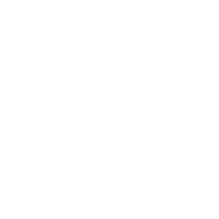 traveler-wt traveler-wt