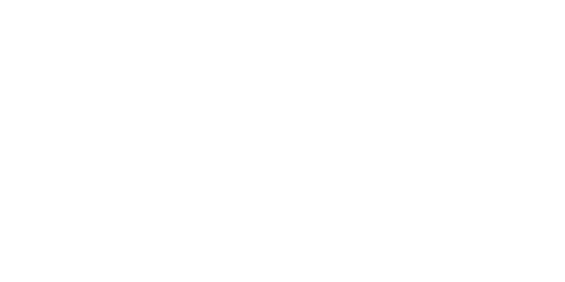silver-fox copy
