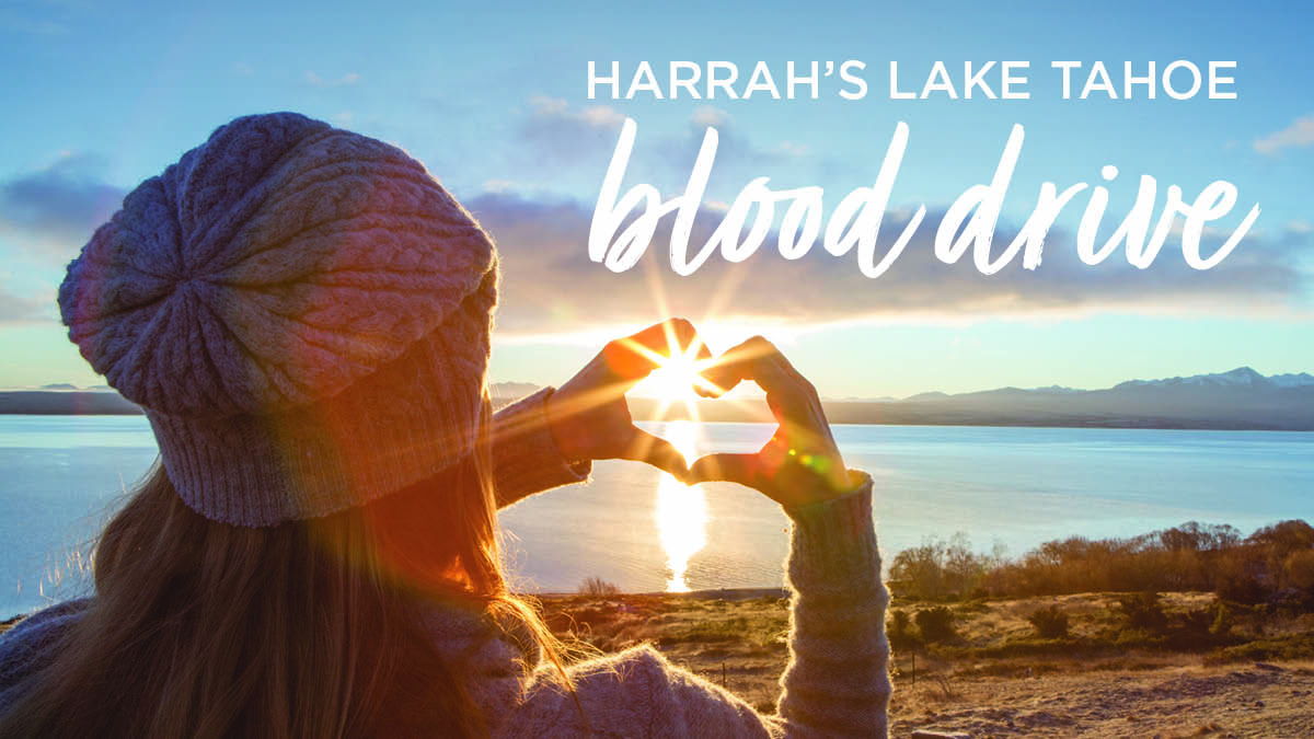 blooddrive-082022 blooddrive-082022