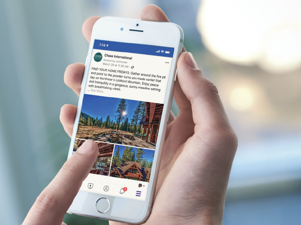 Vector Smart Object-3 Vector Smart Object-3